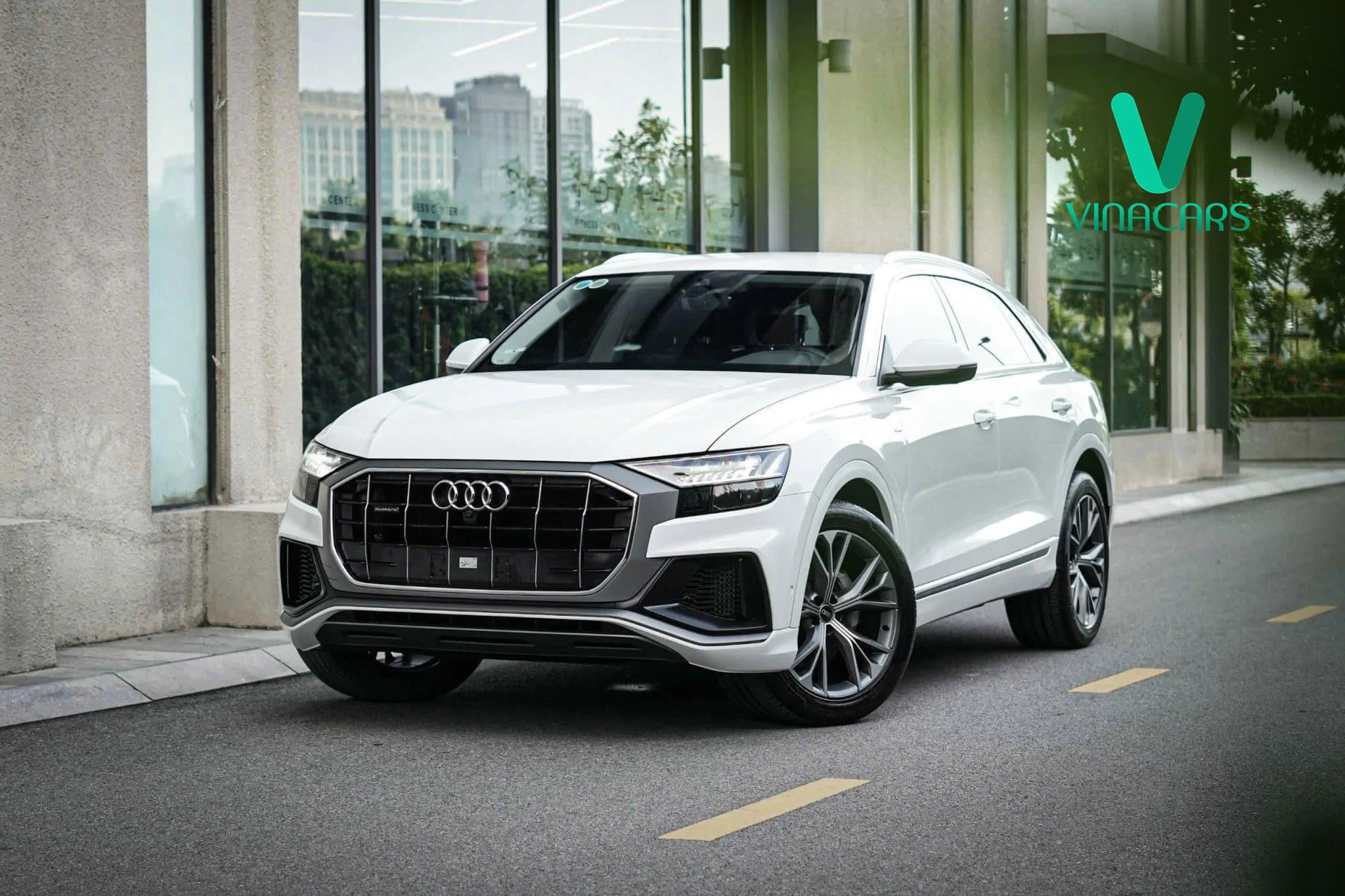 Audi Q8 55 TFSI 2023