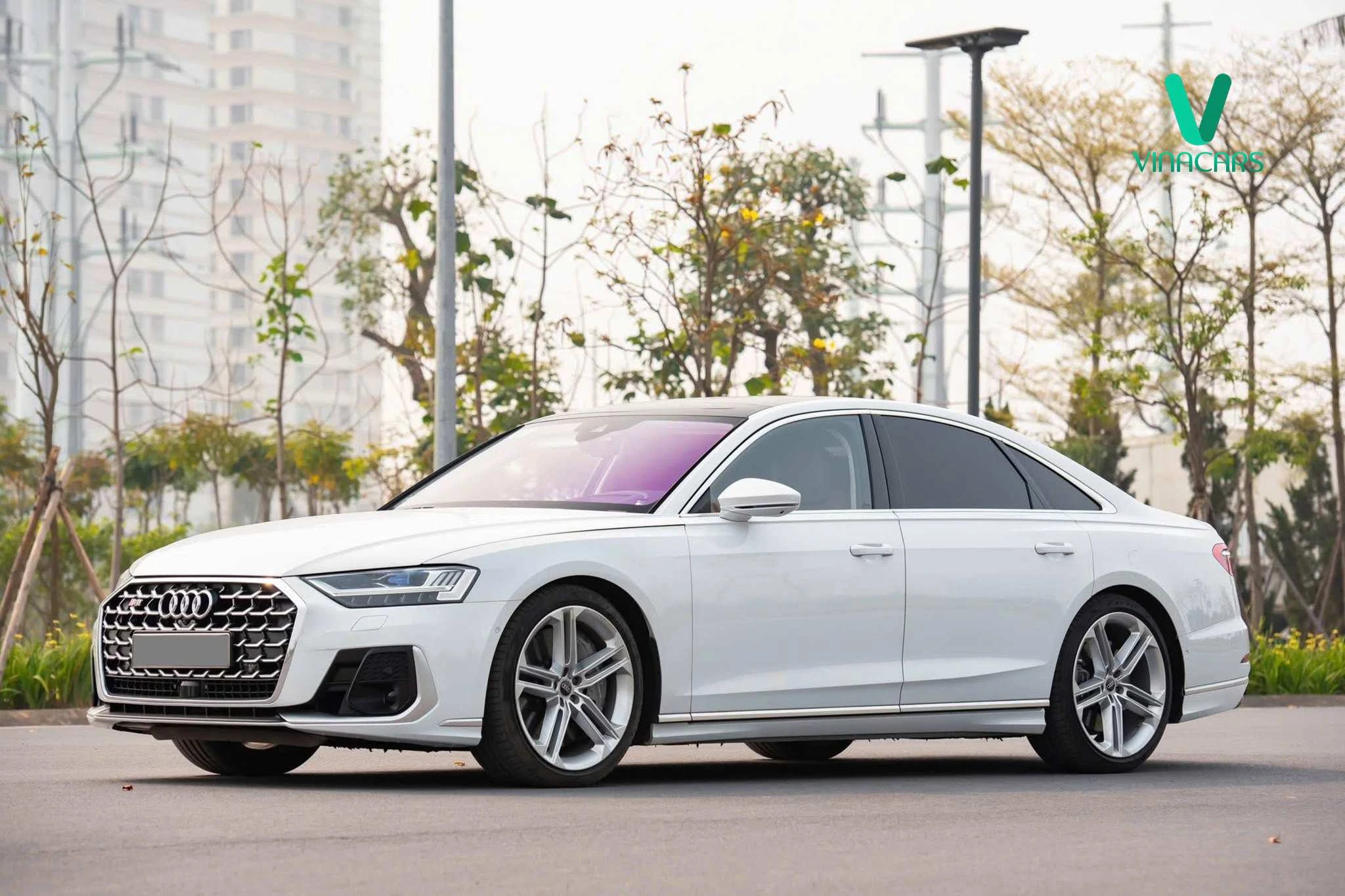 Audi S8 4.0 Quattro 2021