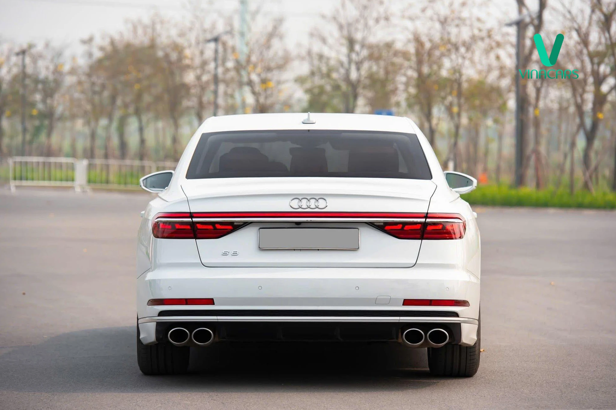 Audi S8 4.0 Quattro 2021