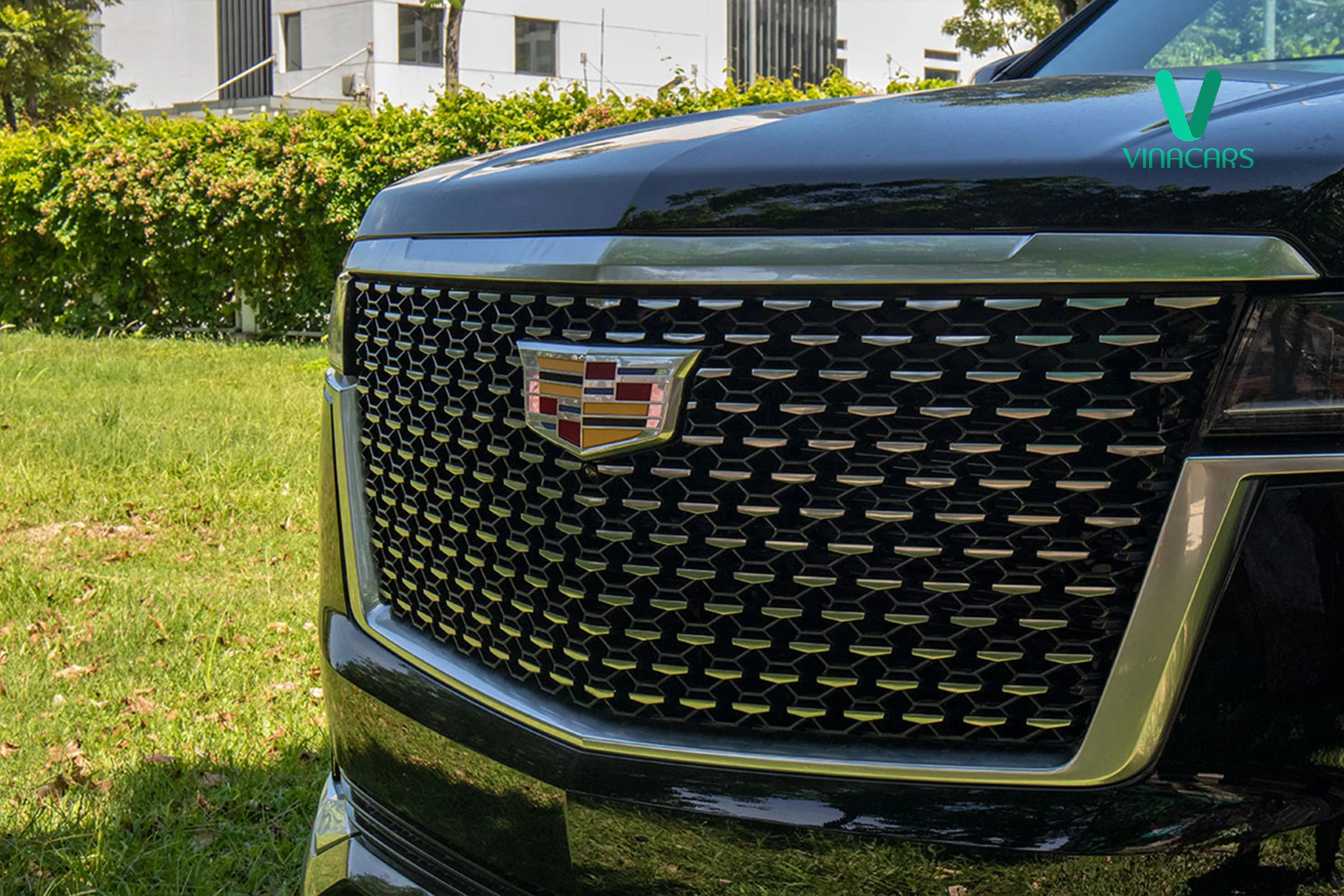 Cadillac Escalade ESV Premium Luxury 600D 2022