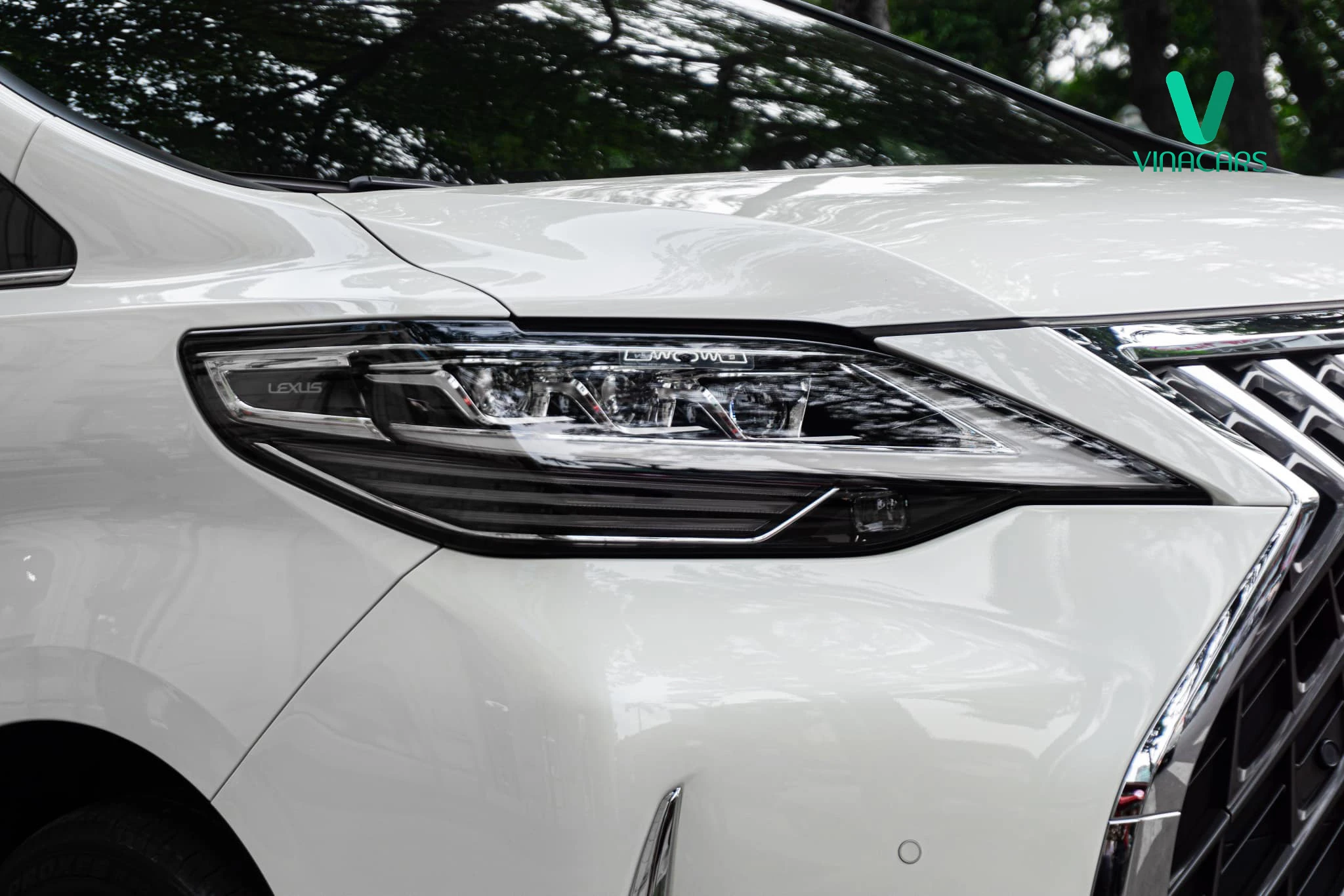 Lexus LM350 2023